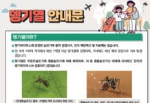 동남아 다녀왔다면 뎅기열 검사 무료로 받아보세요!