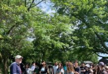 ‘경기청년 사다리즈’ 146명, 미국·호주 연수 마치고 귀국 “꿈을 향한 길이 더 명확해졌다”