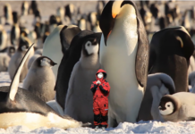 ‘북극협력주간’ 앞두고 다음달 2일부터 다양한 부대행사 열려