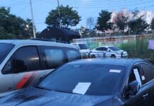 11월 29일 자동차세.과태료 체납차량 일제단속 실시