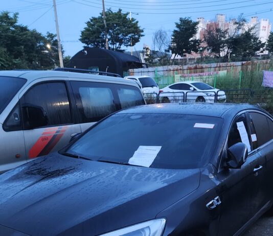 11월 29일 자동차세.과태료 체납차량 일제단속 실시