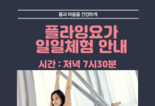 성인플라잉요가반 모집합니다