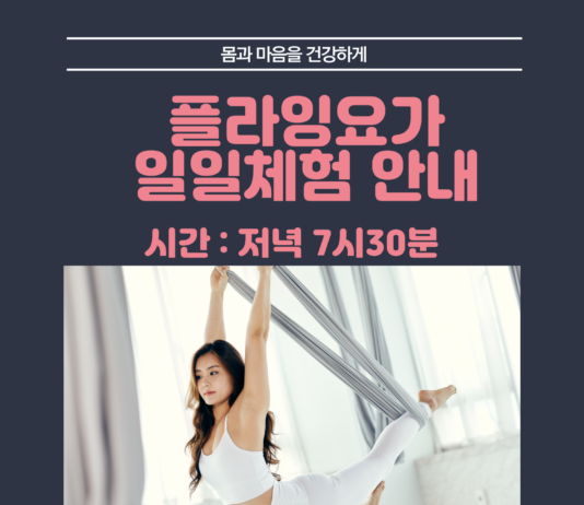 성인플라잉요가 마지막 일일체험 안내