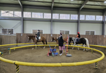 경기도, 초중고 학생 등 1만 3천 명 승마체험 지원