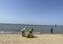 경기도, 깨끗한 경기바다 조성 위해 ‘해안가 봄맞이 대청소’ 실시