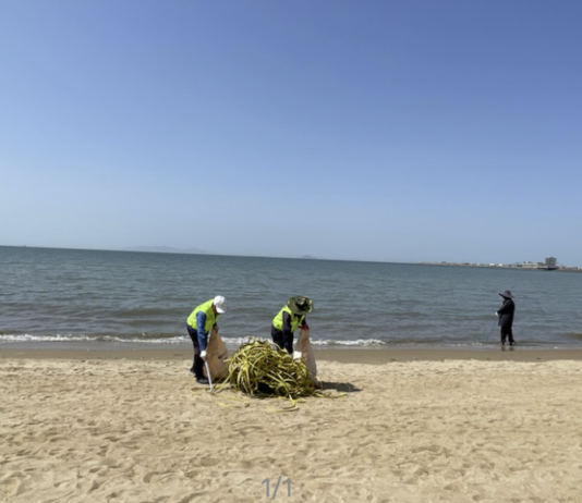 경기도, 깨끗한 경기바다 조성 위해 ‘해안가 봄맞이 대청소’ 실시