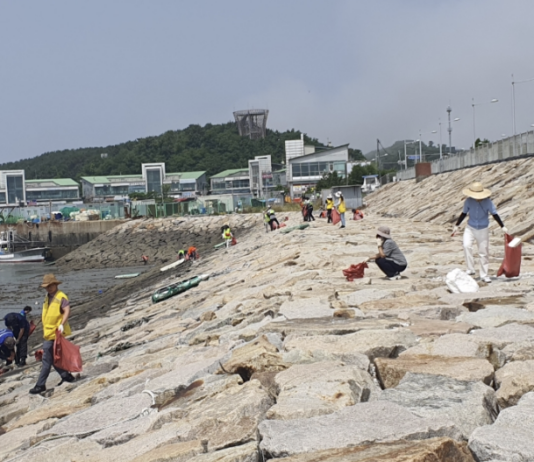인천시, 시민단체회원들과 해양쓰레기 수거에 구슬땀