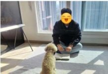 경기도가 입양동물 행동교정 지원을 수행할 민간 사업자를 모집합니다