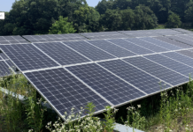 경기도, 여름철 풍수해 대비 산지 태양광발전소 합동 점검 실시