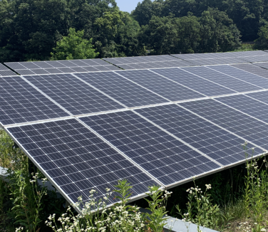 경기도, 여름철 풍수해 대비 산지 태양광발전소 합동 점검 실시