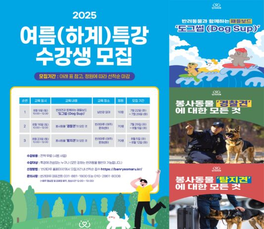 반려동물과 특별한 여름나기! 경기도, ‘반려마루 여주 하계특강’ 수강생 모집