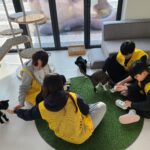 “유기동물과 따뜻한 겨울나기” 경기도, 겨울방학 청소년 자원봉사 운영