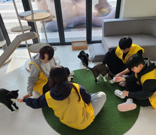 “유기동물과 따뜻한 겨울나기” 경기도, 겨울방학 청소년 자원봉사 운영