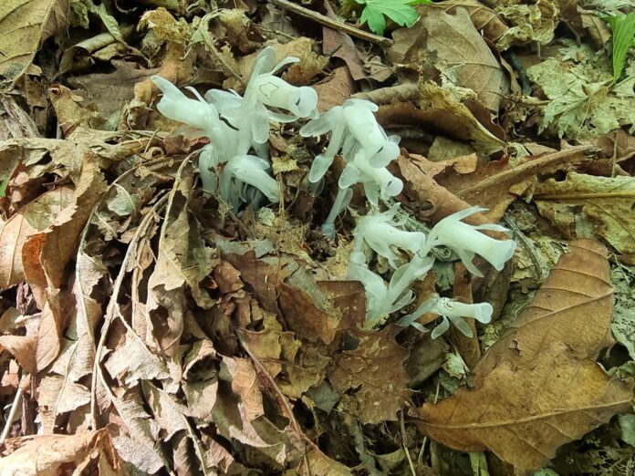 0224af85-72fe-4c92-8978-7e75e8fad4bc