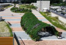 인천시, 남촌농산물도매시장 옥상텃밭 프로그램 참여자 모집