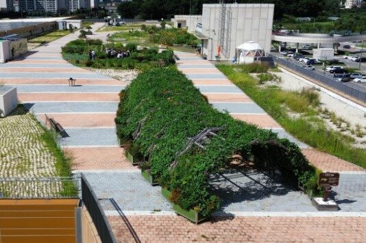 인천시, 남촌농산물도매시장 옥상텃밭 프로그램 참여자 모집